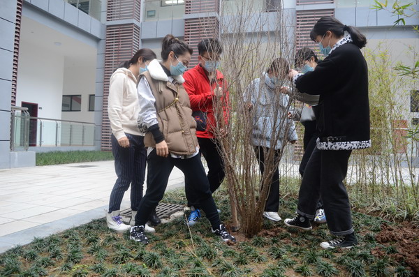 350VIP浦京集团开展义务植树活动