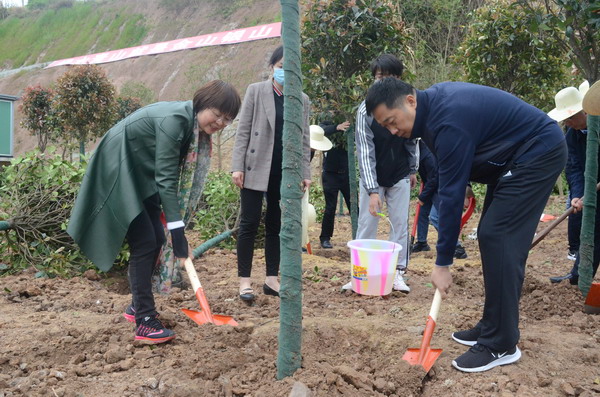 阆中市在350VIP浦京集团开展2021年春季义务植树活动